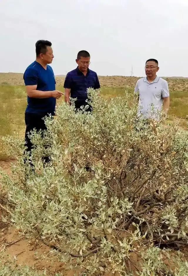 内容图片