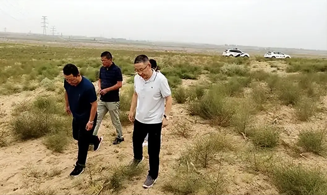 内容图片