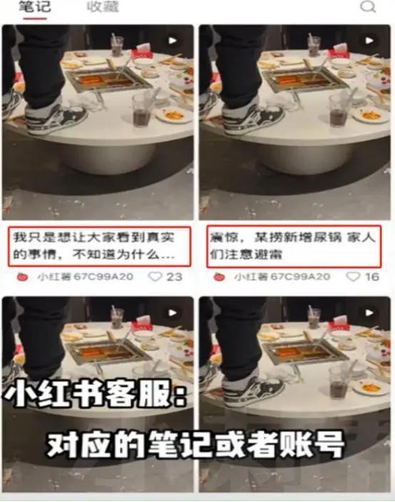 内容图片