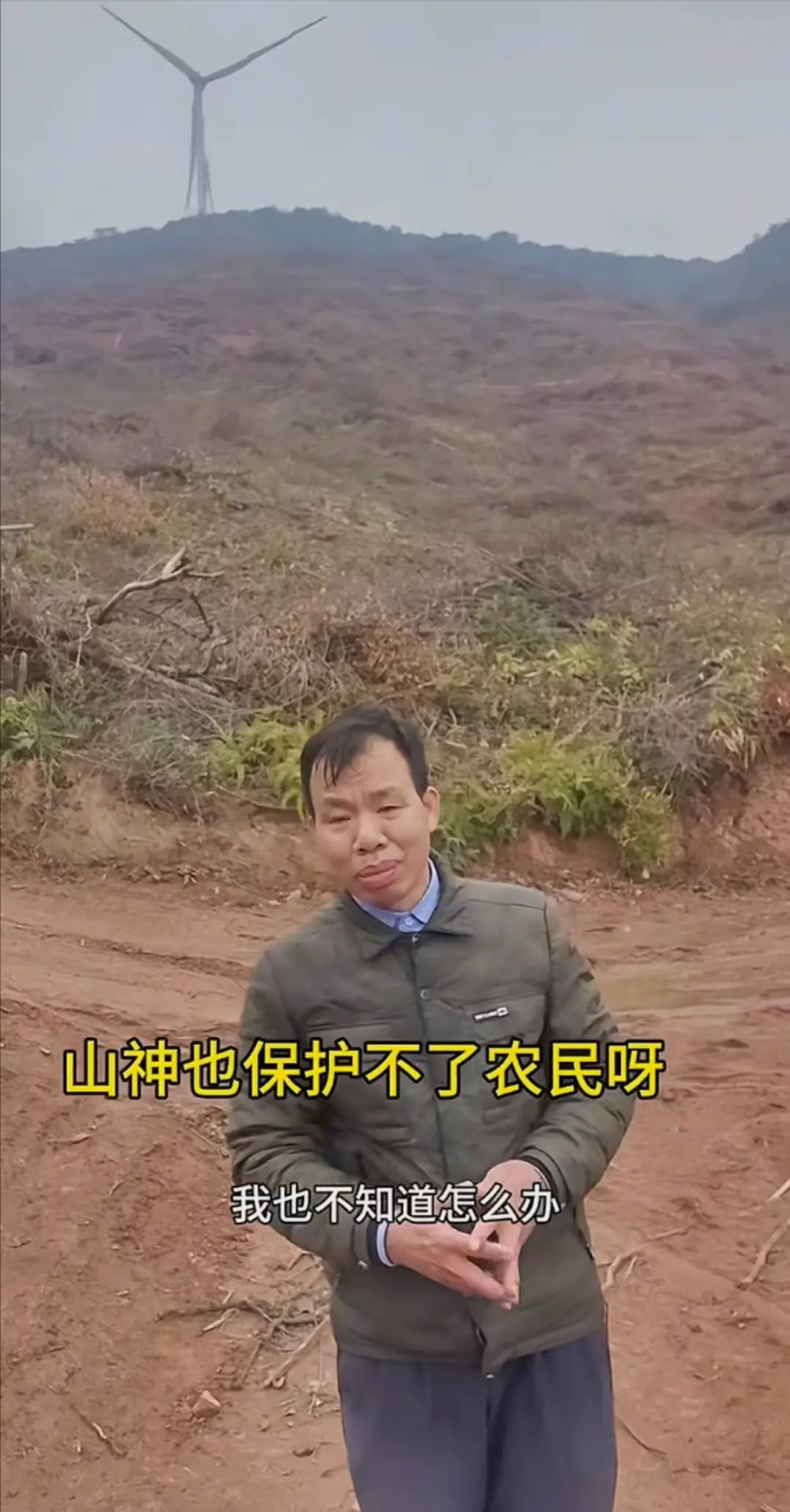 内容图片