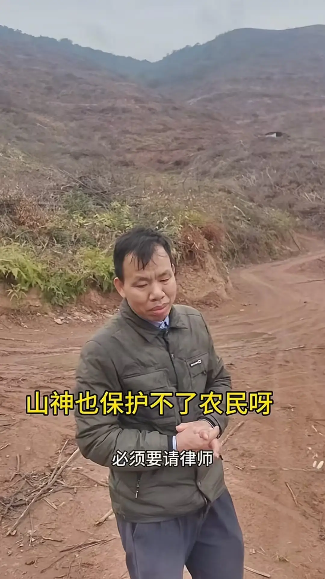 内容图片