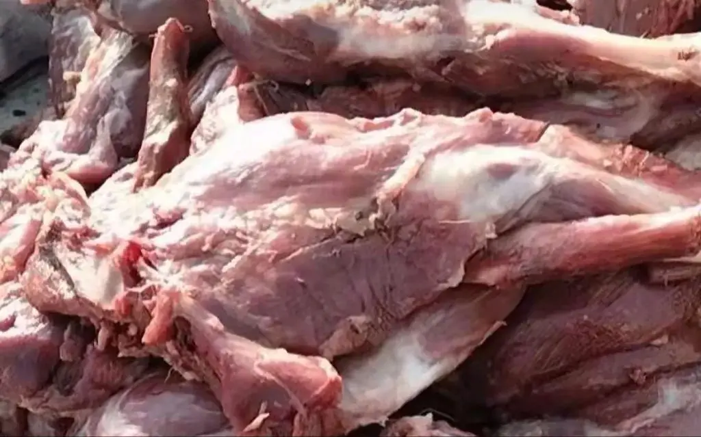 这些动物肉被大量冒充牛羊兔肉！未检疫，禁止食用，却被销往多地→