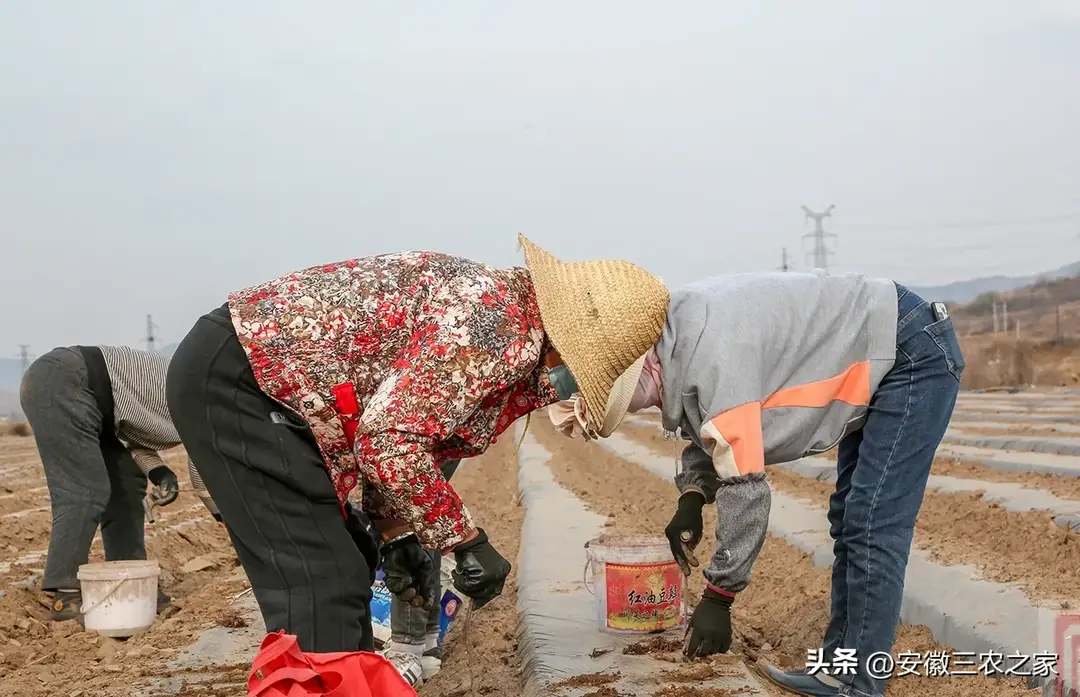 内容图片