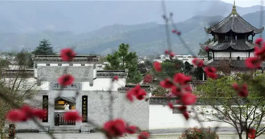 内容图片