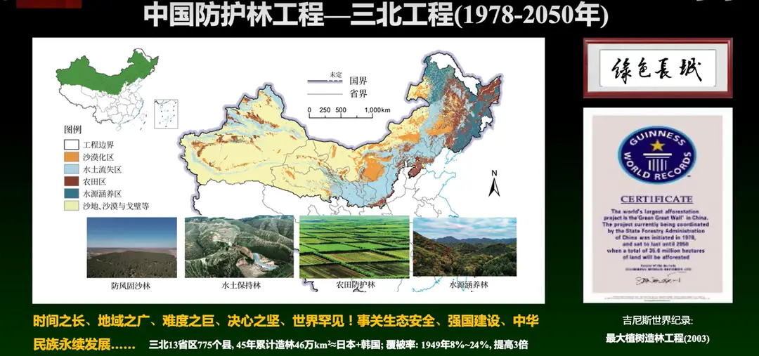 内容图片
