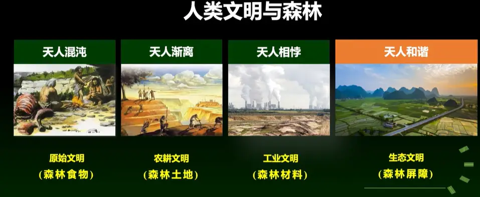 内容图片