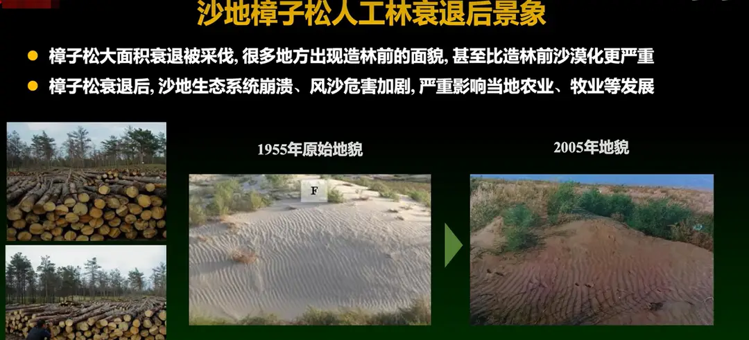 内容图片