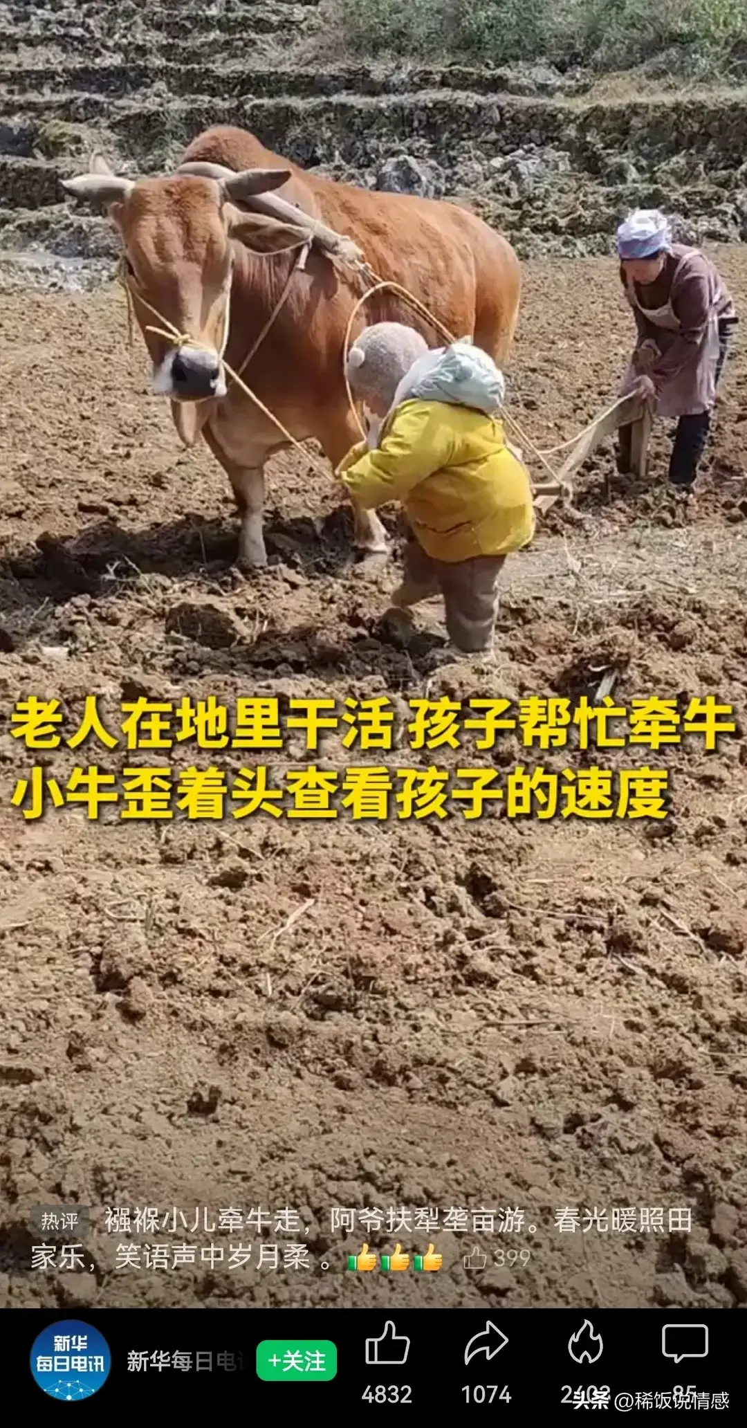 内容图片