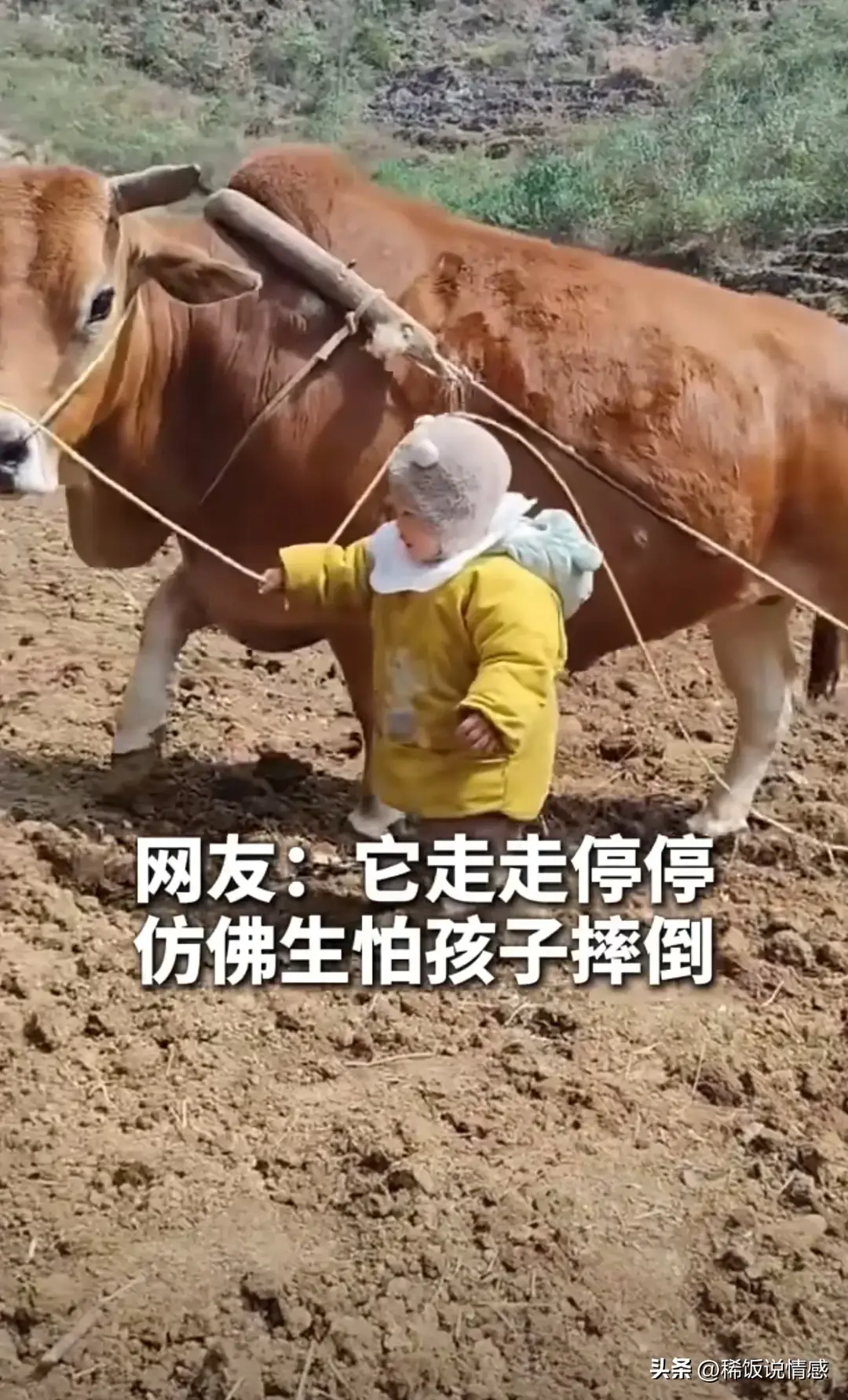 内容图片