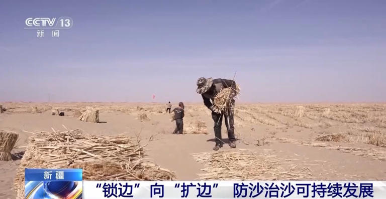 “锁边”→“扩边” 塔克拉玛干沙漠植树造绿迎来新进展