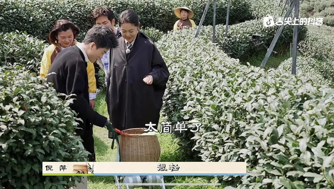 内容图片
