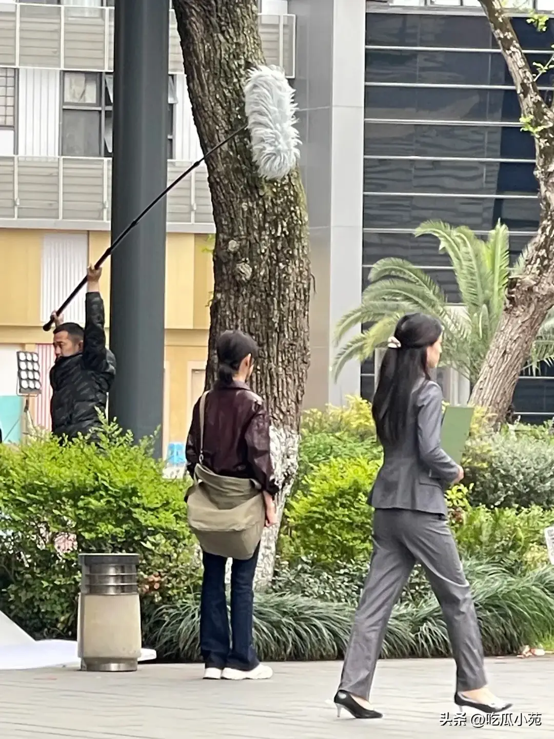 内容图片