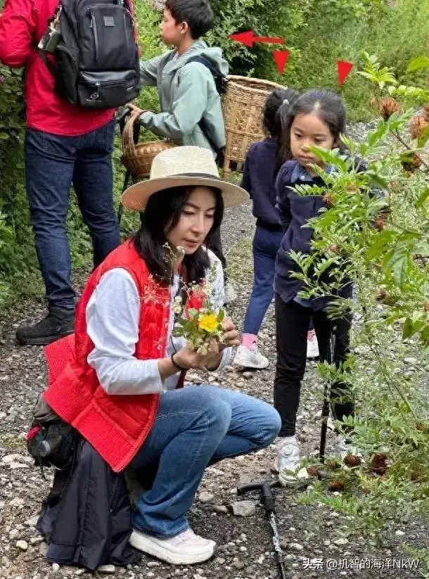 内容图片