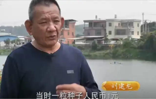 内容图片
