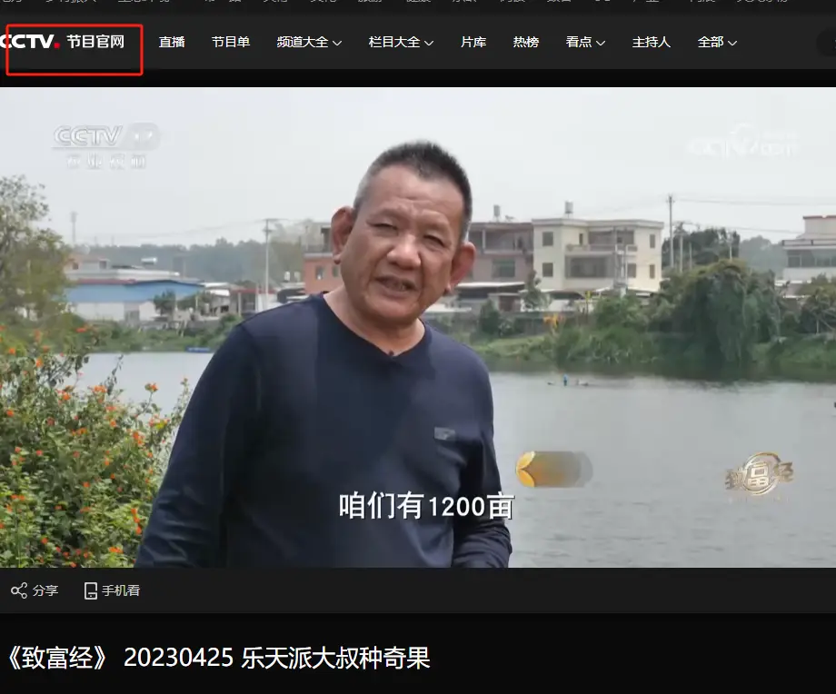 内容图片