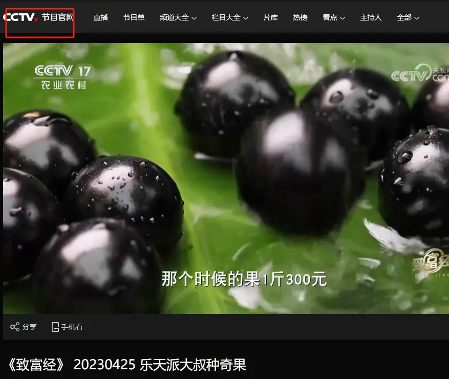 内容图片