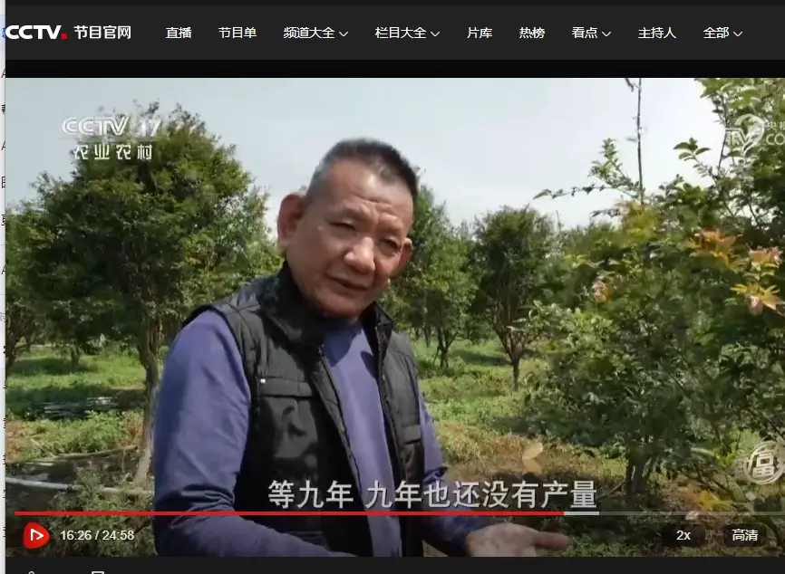 内容图片