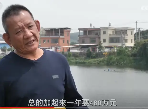 内容图片