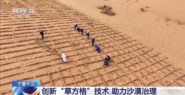 从100亩到2000亩!看机械草方格如何“锁”住黄沙,绿化奇迹!