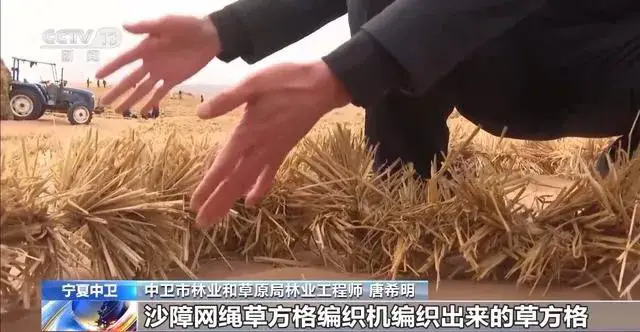 从100亩到2000亩!看机械草方格如何“锁”住黄沙,绿化奇迹!