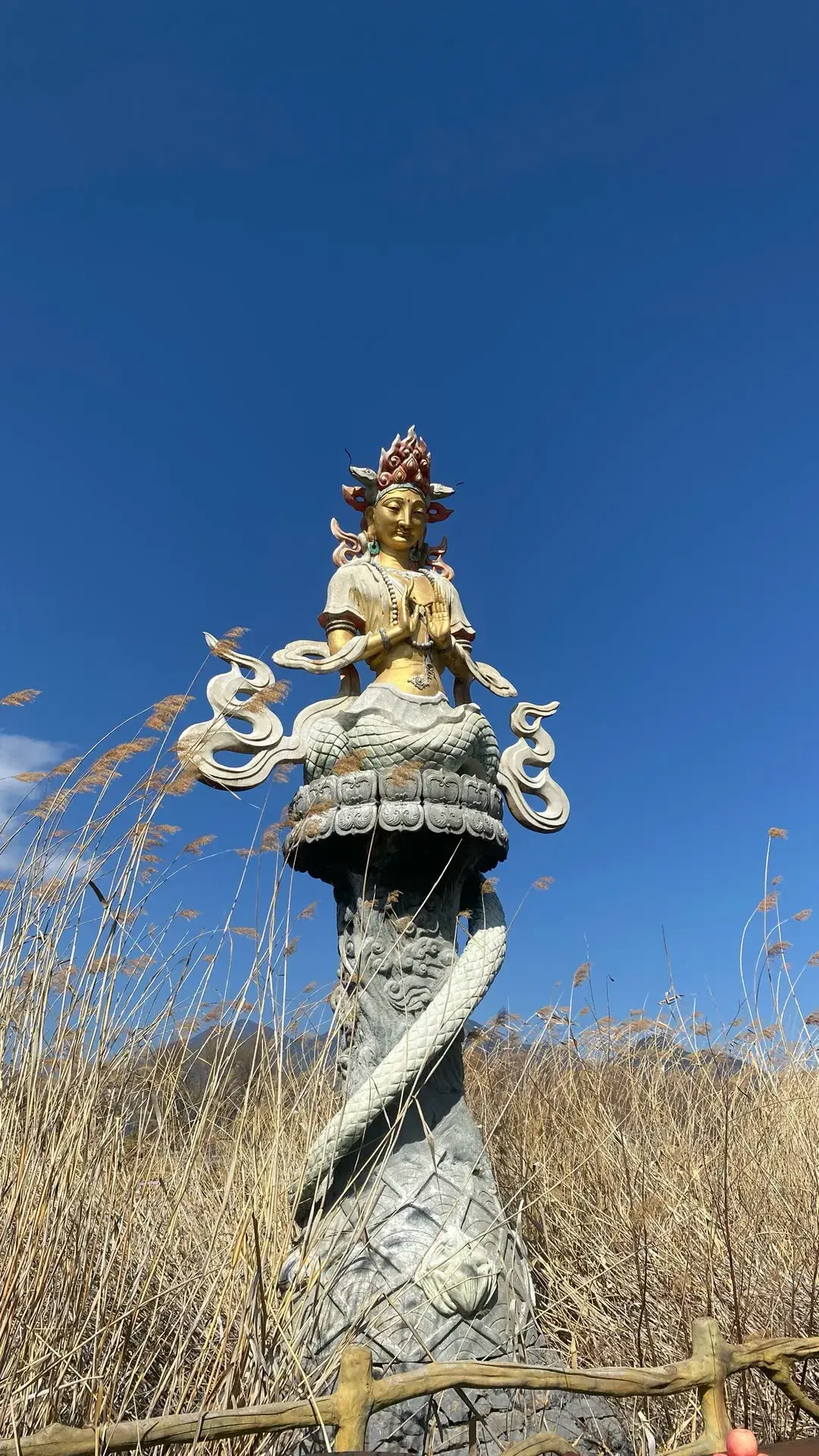 内容图片