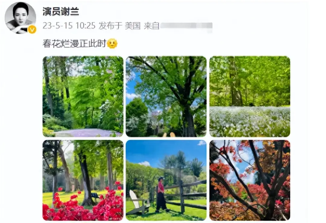 内容图片