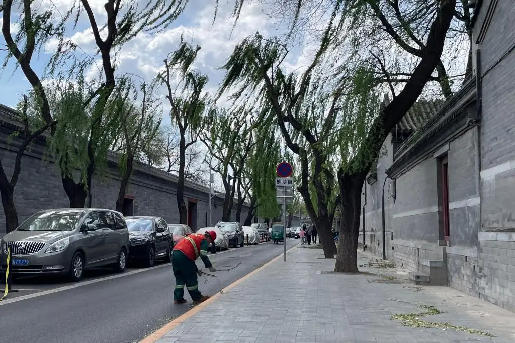 内容图片