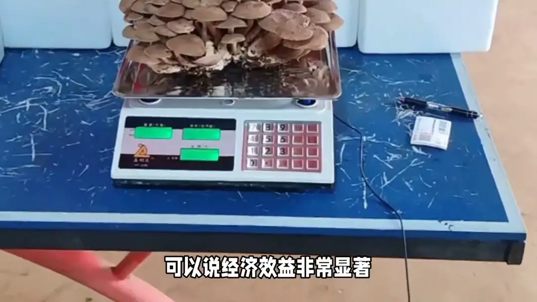 内容图片