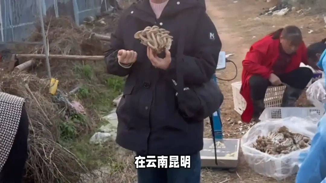 内容图片