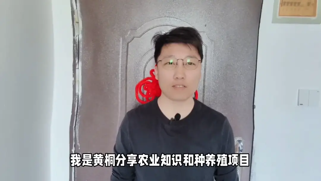 内容图片