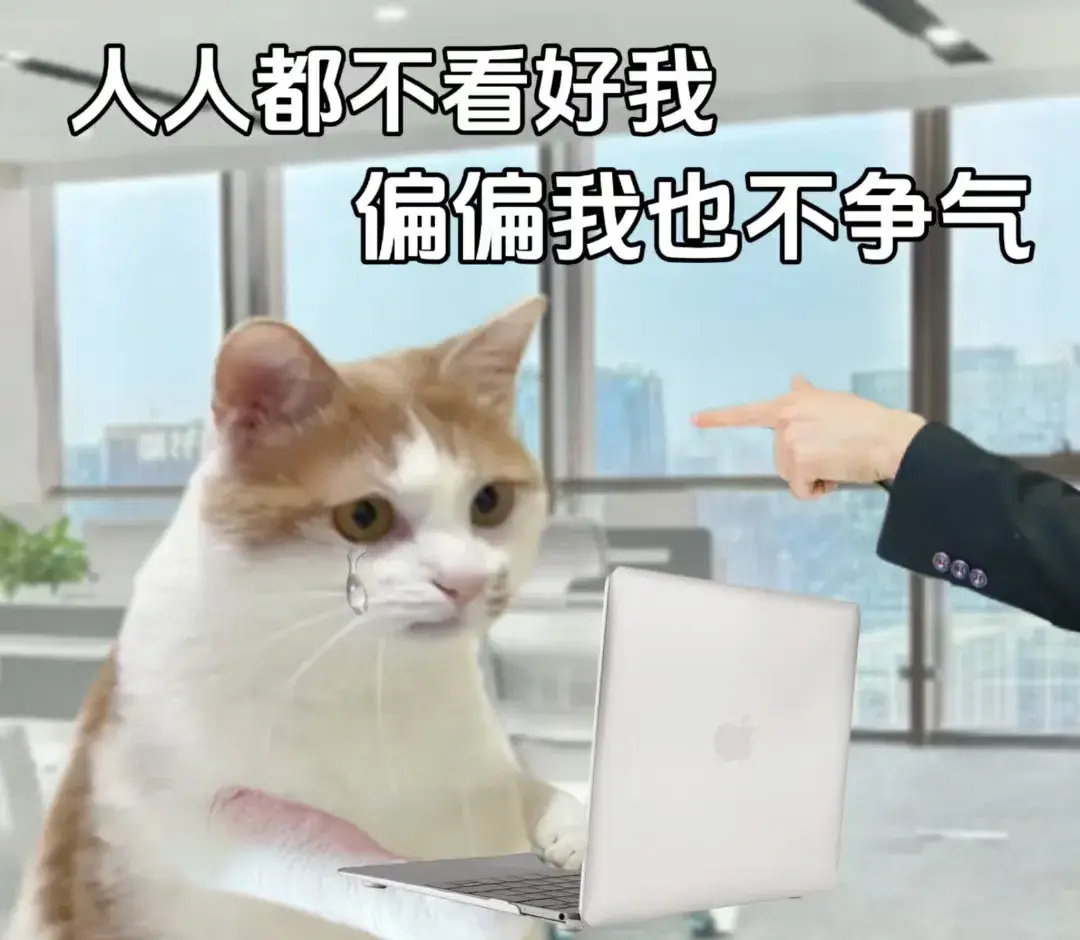内容图片