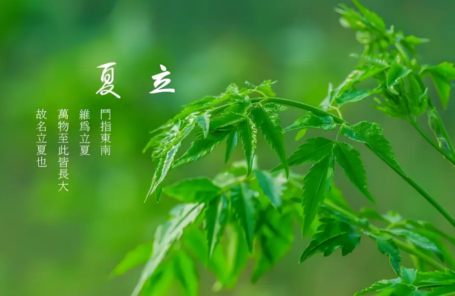 内容图片