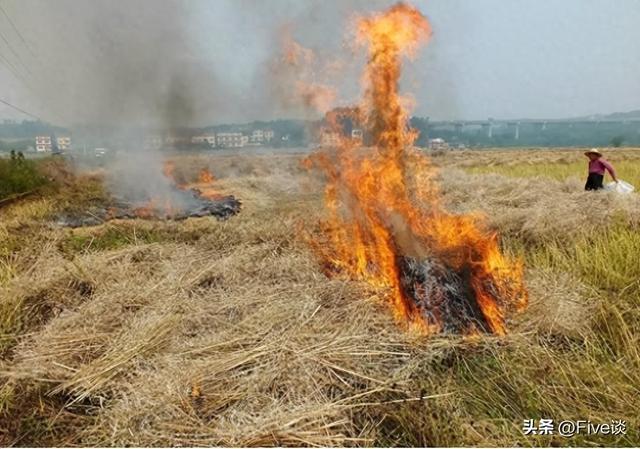 央媒笔杆子竟是日本间谍，潜伏中国三十年，2022年临退休接头被捕