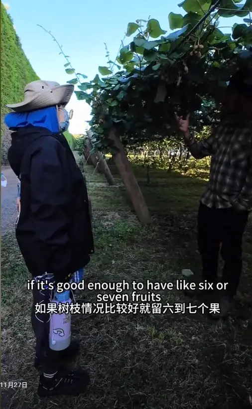内容图片