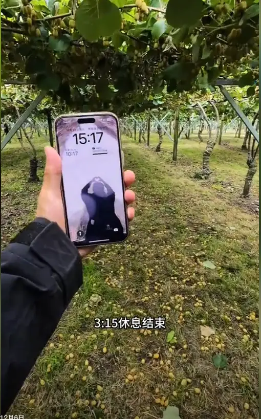 内容图片