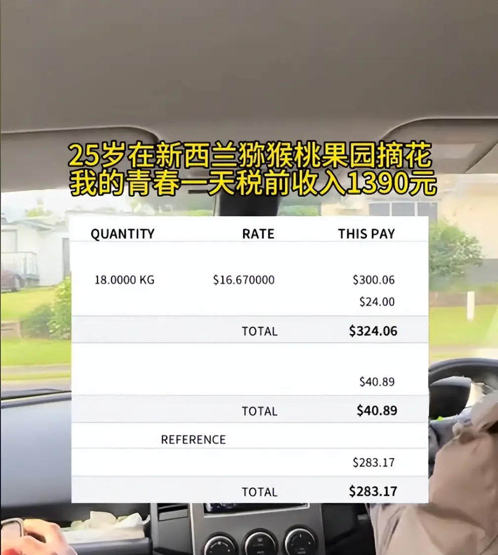 内容图片