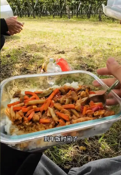 内容图片