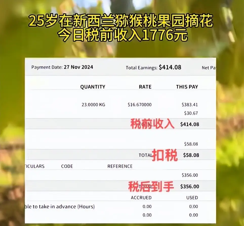 内容图片
