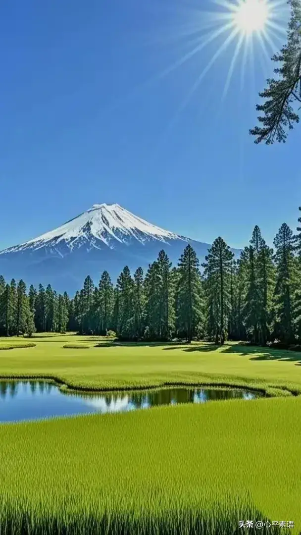 内容图片