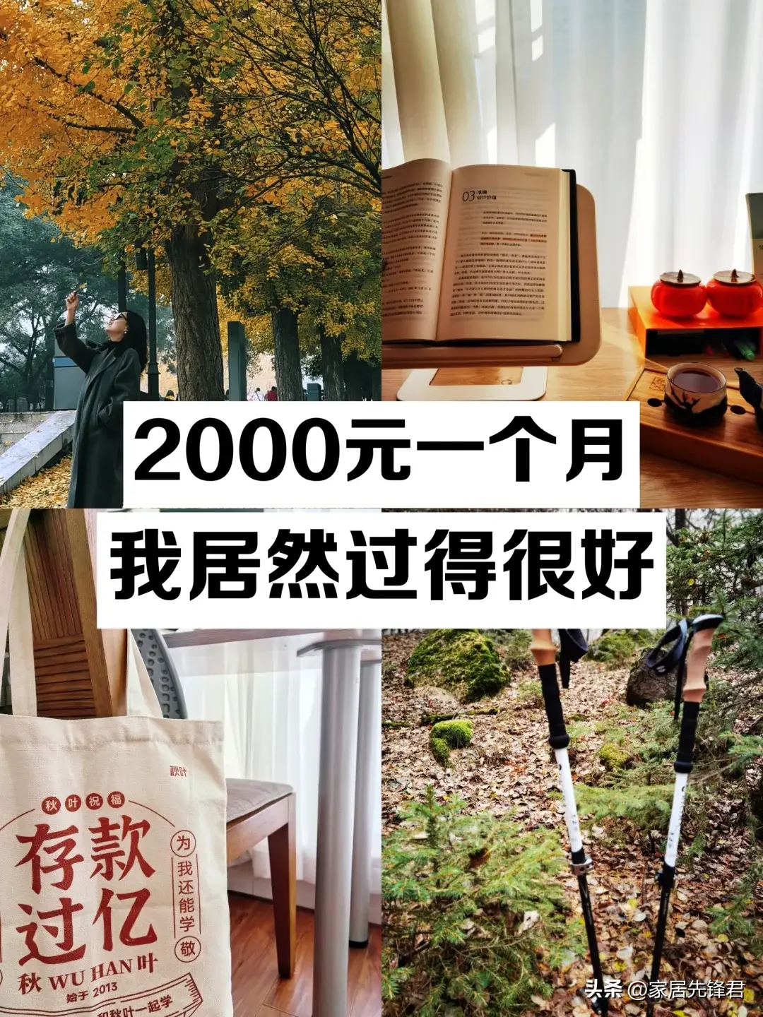 内容图片