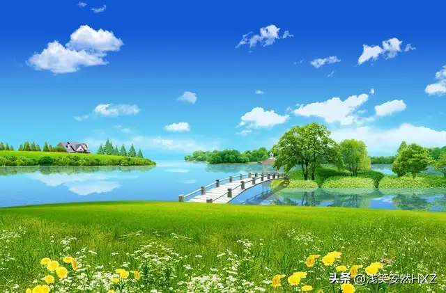 内容图片