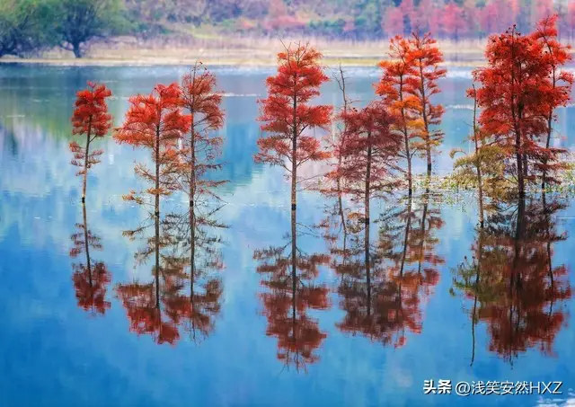 内容图片