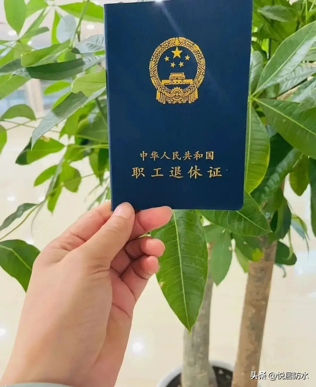 內容圖片