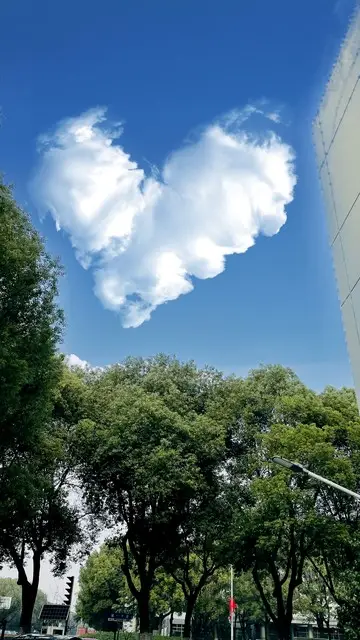 内容图片