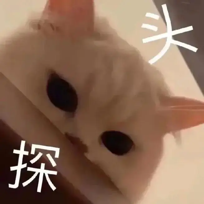 内容图片