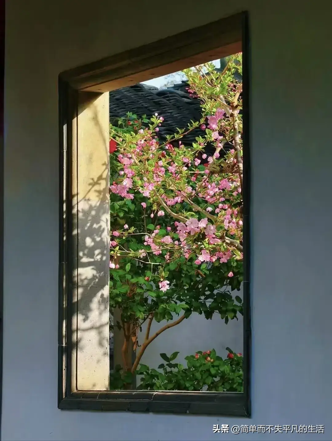 内容图片
