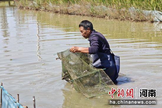 内容图片