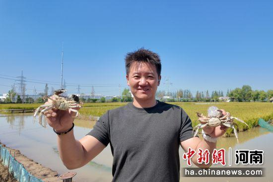 内容图片