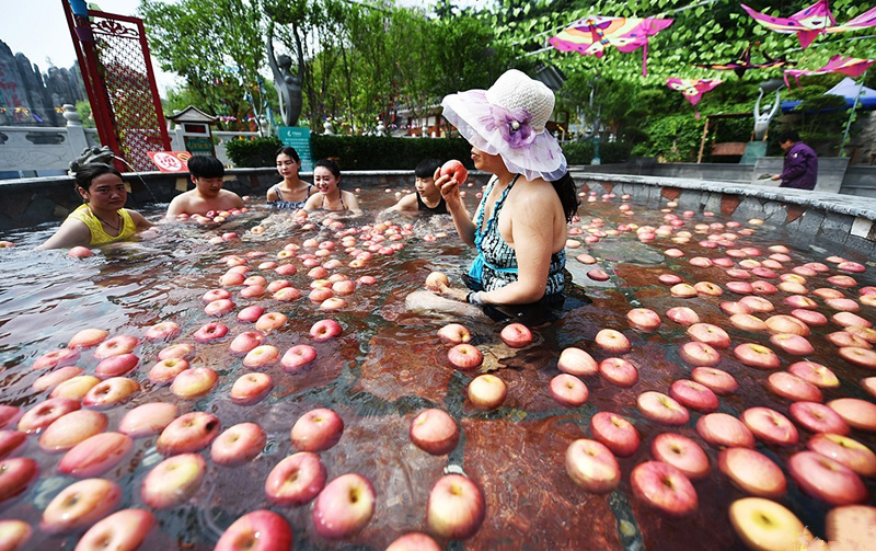 游客泡"水果浴"直接捞苹果吃